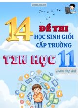 Tuyển tập 14 Đề thi HSG cấp Trường môn Tin học 11 (Kèm đáp án)